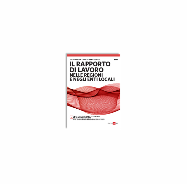 Il Rapporto Di Lavoro Nelle Regioni E Negli Enti Locali